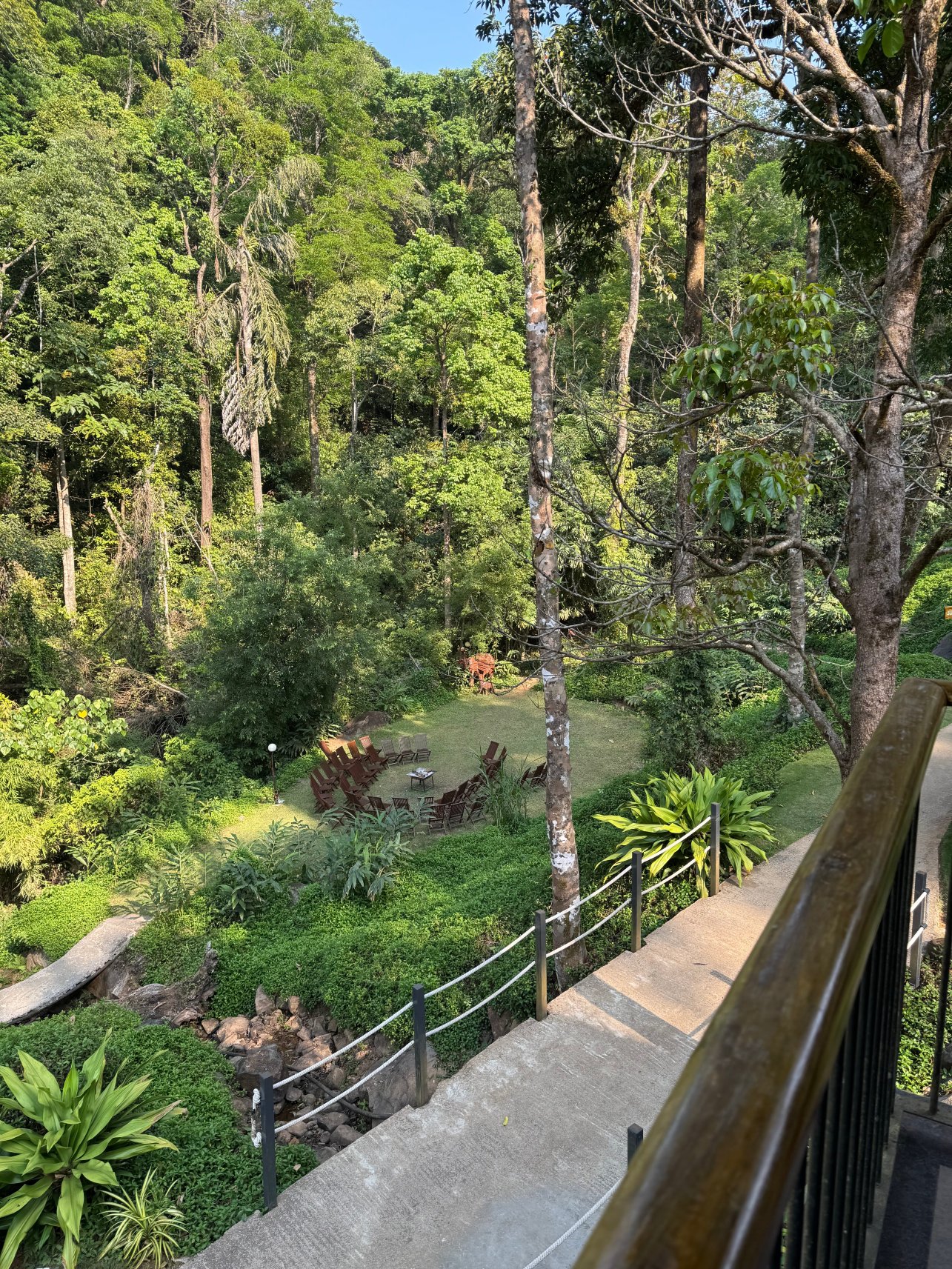 Ayatana Coorg-酒店景观