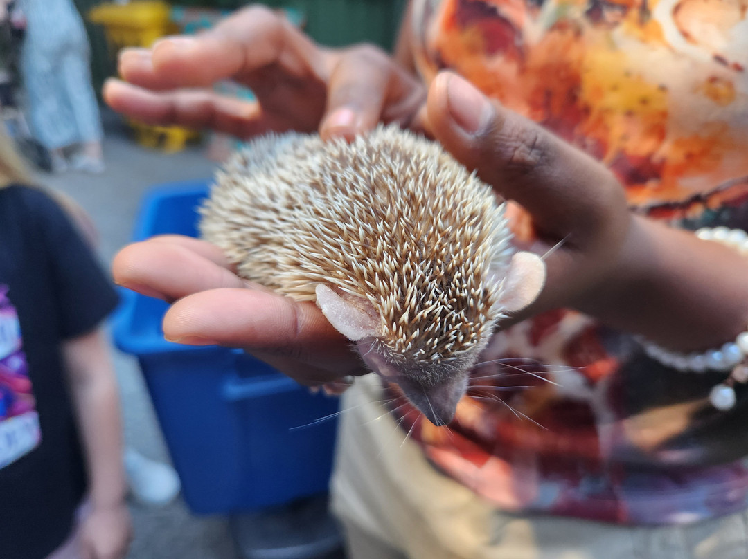 Giraffe House Wildlife Awareness Centre-斯泰伦博斯必去景点