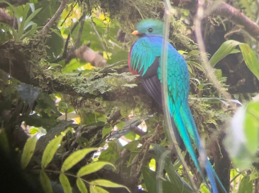 纳弗雷之家酒店主图
