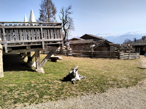 Fattoria Rainguthof-Tesimo必去景点