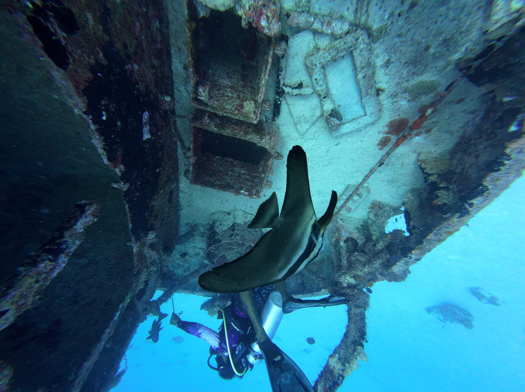 Koamas Dive & Water Sports Centre-Madivaru必去景点