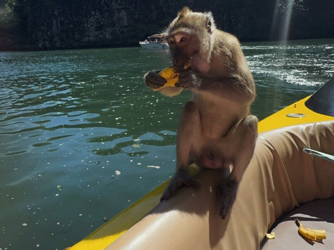 Belinda Boat Tour-贝尔马尔必去景点