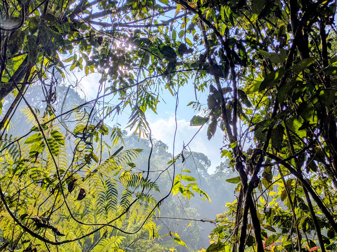 Sri Lanka Chamo Tours-Ambalangoda必去景点