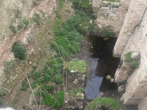 Pilgrim Tours-Morgantown必去景点