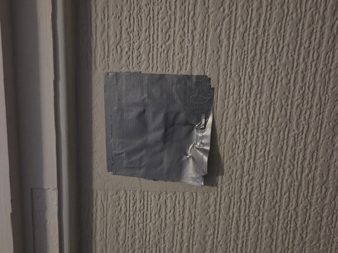 白天鹅酒店主图