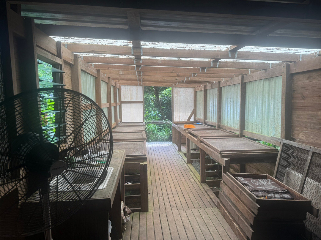 KokoMana-萨武萨武必去景点