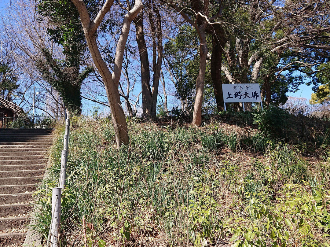 Ueno Daibutsu-Uenokoen必去景点