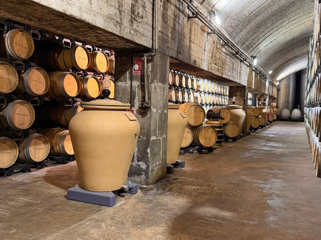 Bodega Señorio De Los Llanos-Valdepenas必去景点