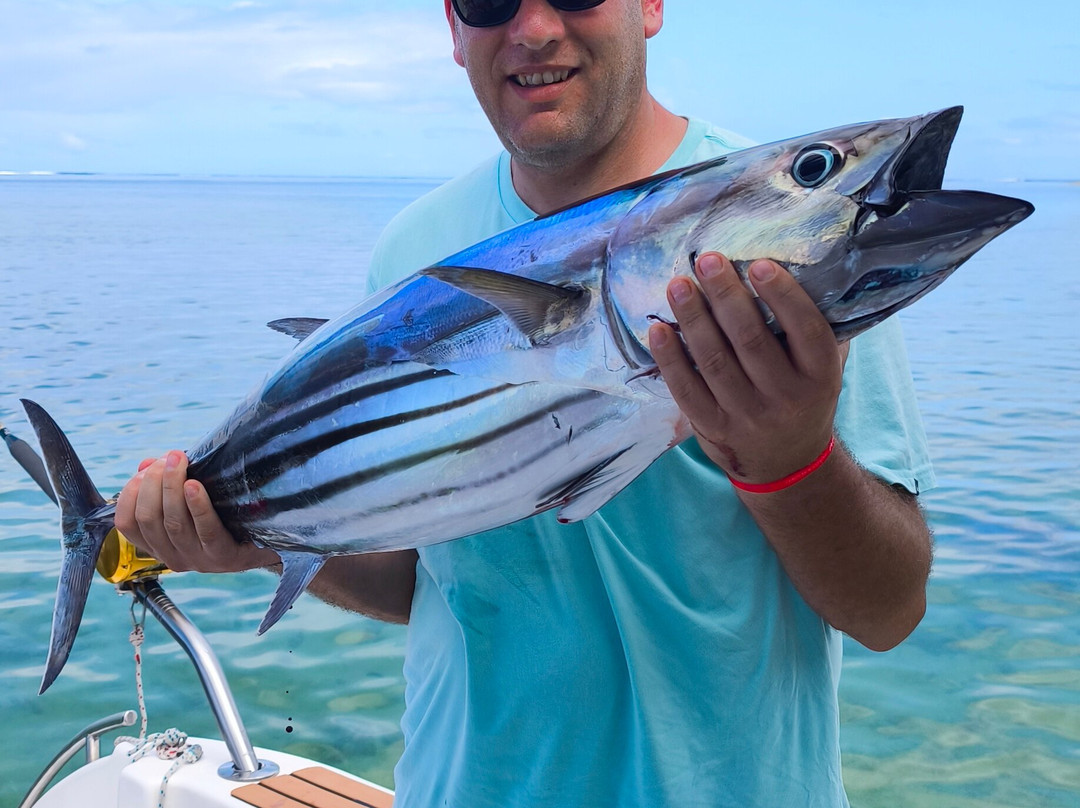 Karlos Excursions-莫纳山必去景点