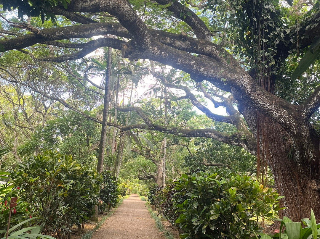 拉波多内城堡-马普必去景点