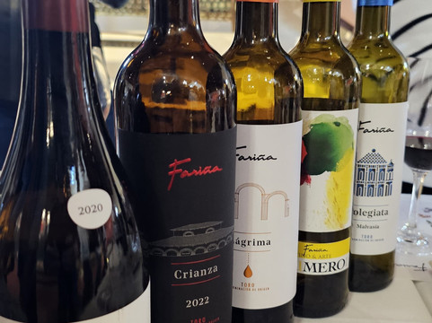 Bodegas Fariña-Toro必去景点