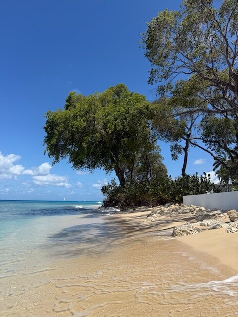 The House, An Autograph Collection All-Inclusive Resort - Adults Only-泳池