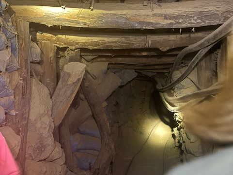 Koala Bolivia-波托西城必去景点