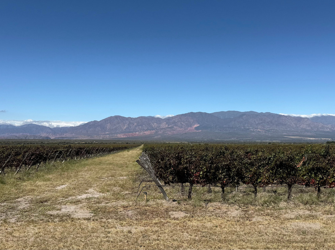 Burbujas De Altura-卡法亚特必去景点