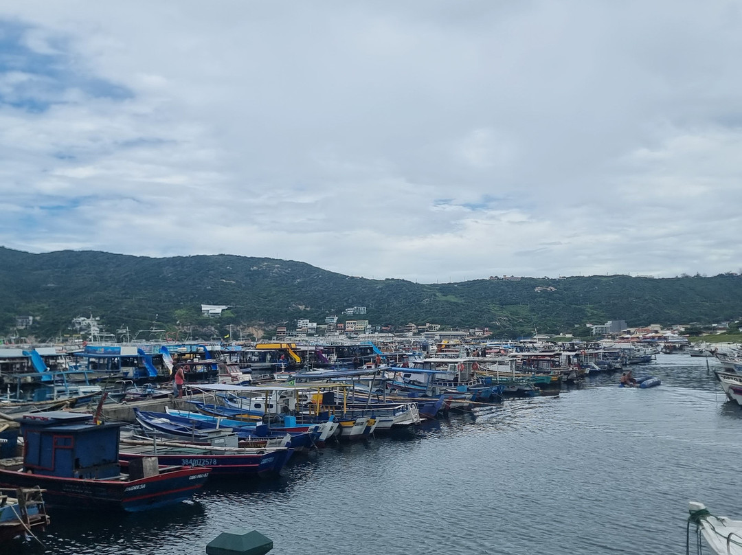 Jagau Tour-阿拉伊阿尔港必去景点