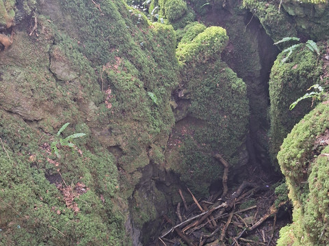 Puzzlewood-Coleford必去景点
