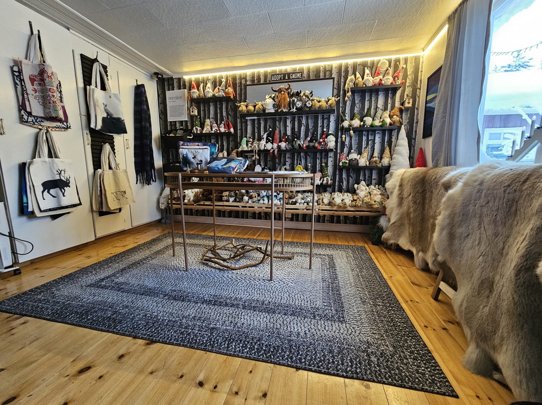 SKOG - Aurora igloos