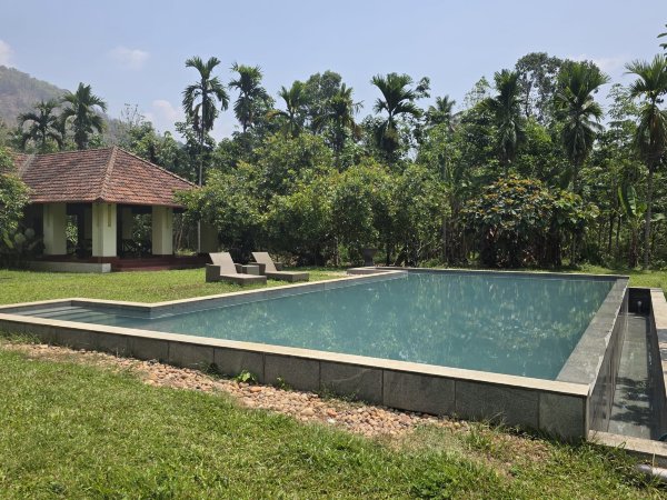 温德米尔河之家旅馆-泳池