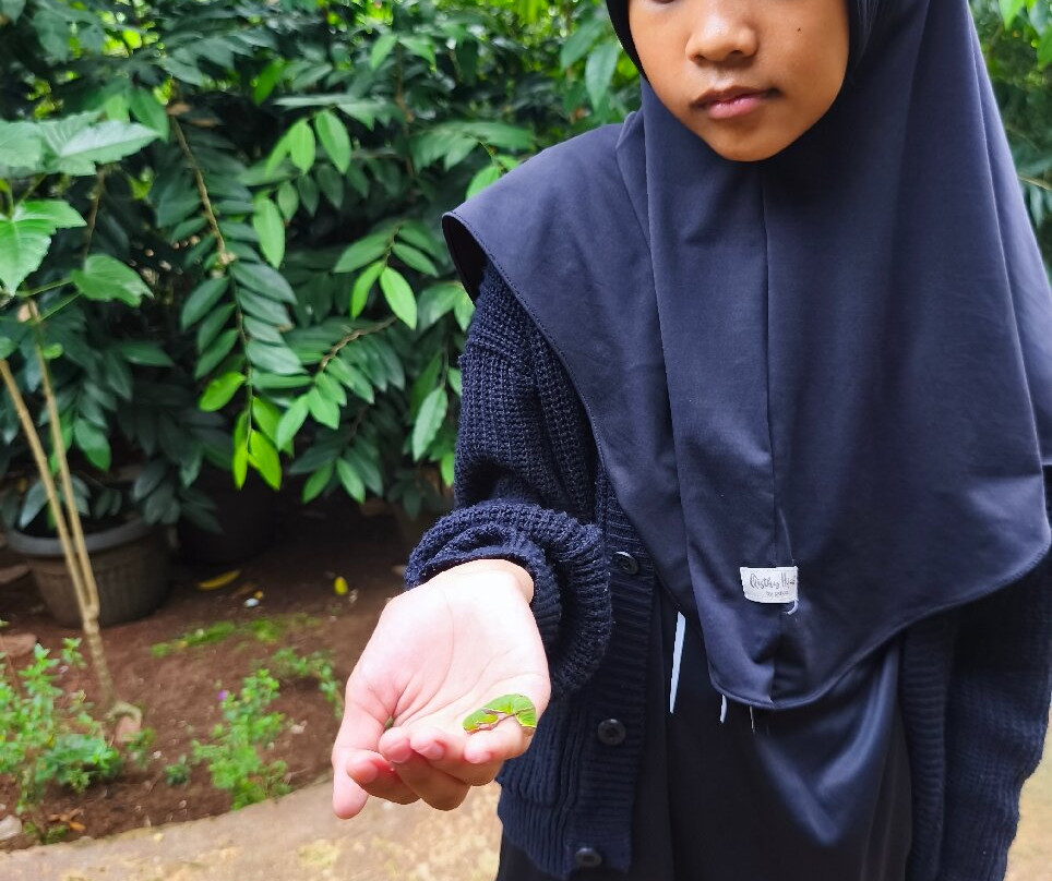 Aviary Park Indonesia
