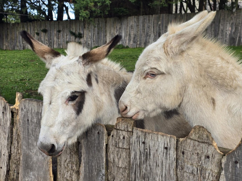 Natural'Parc-Ombrée d'Anjou必去景点