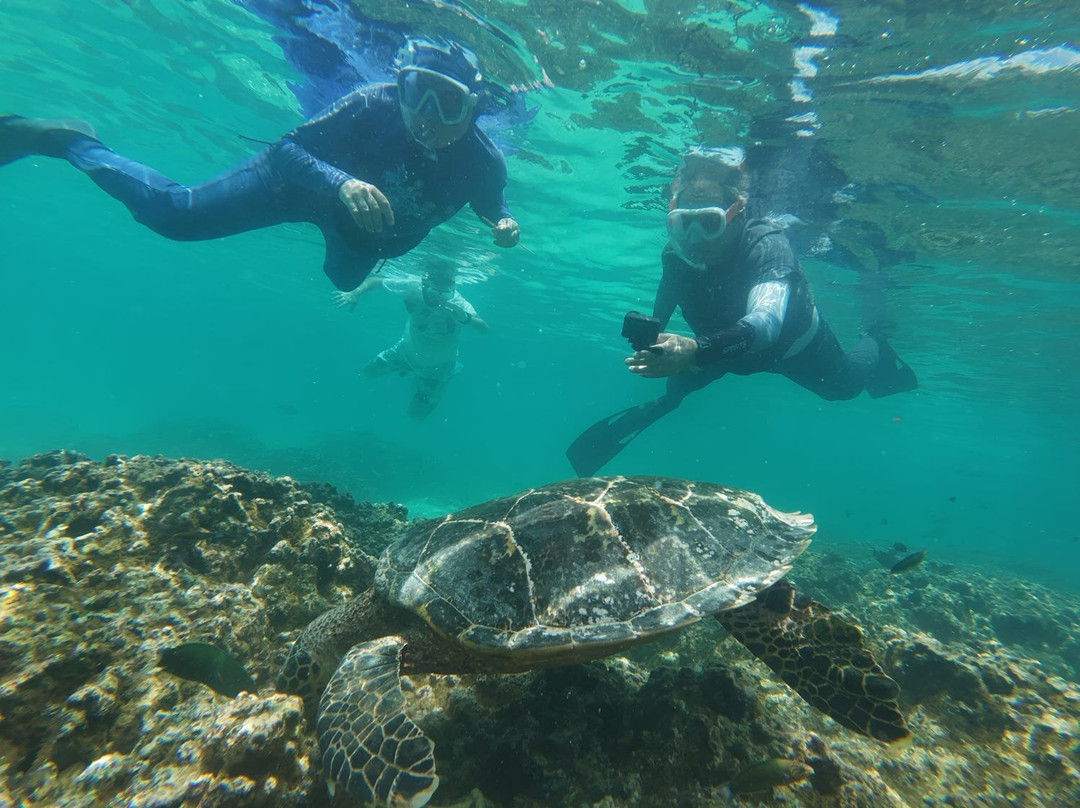 Papa Fish Excursions-乌库拉斯必去景点