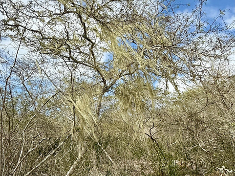 Galapaguera de Cerro Colorado-圣克里斯托瓦尔必去景点
