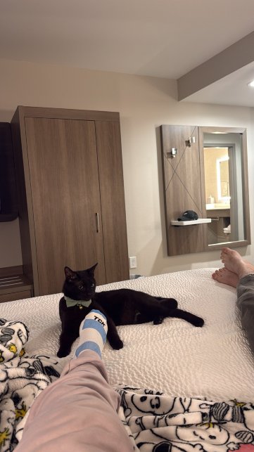 韦恩斯伯勒东智选假日套房酒店-官方