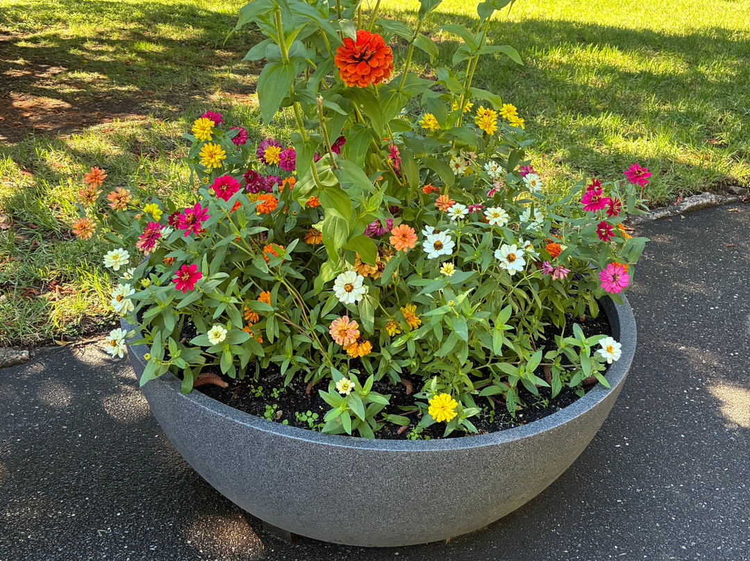 植物园-阿德莱德必去景点