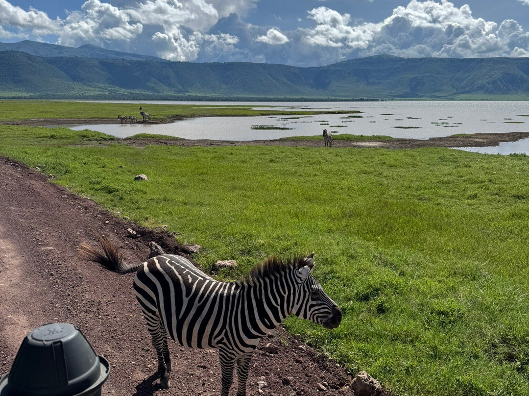 Sereland Africa Safaris-Sakina必去景点