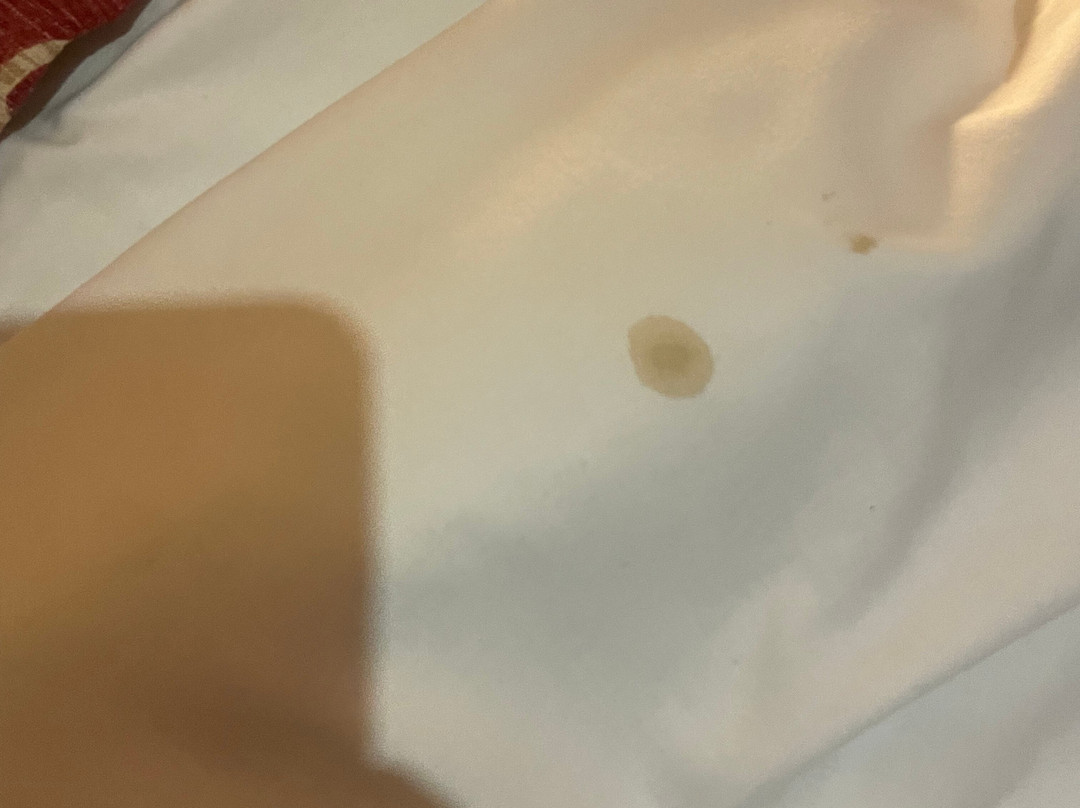 塔拉莫尔中央酒店主图