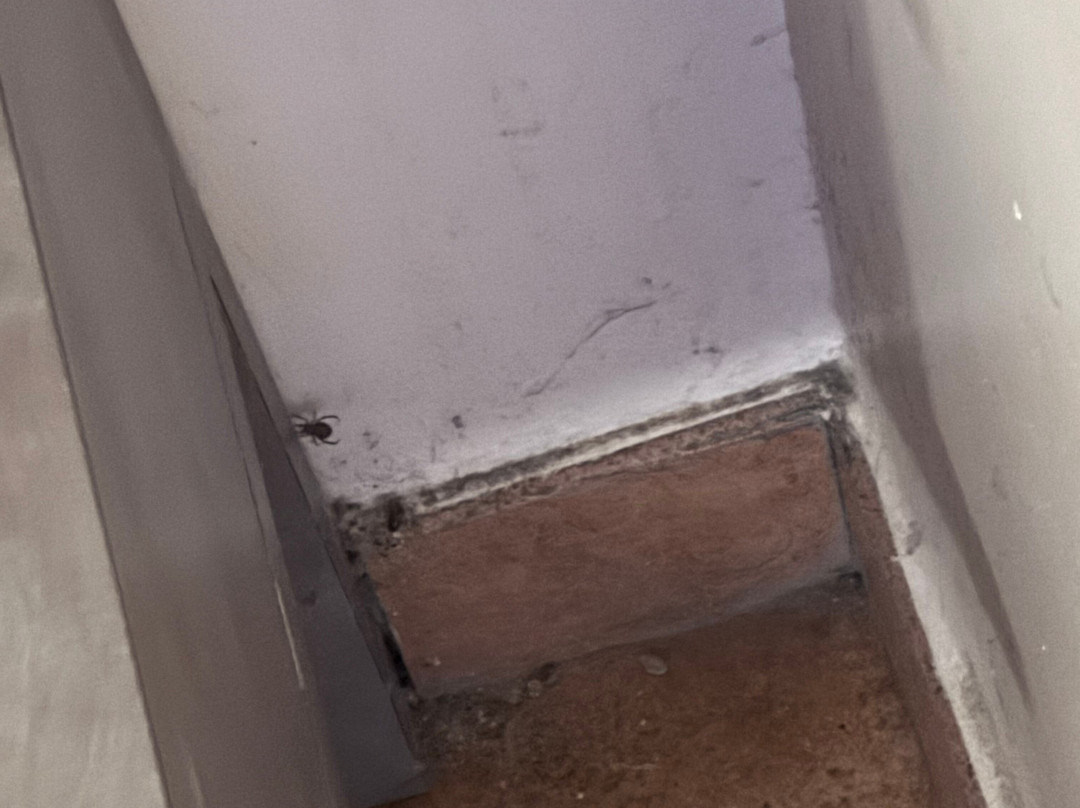 拉文纳汽车酒店主图