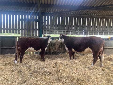 Thrift Farm-Whaddon必去景点