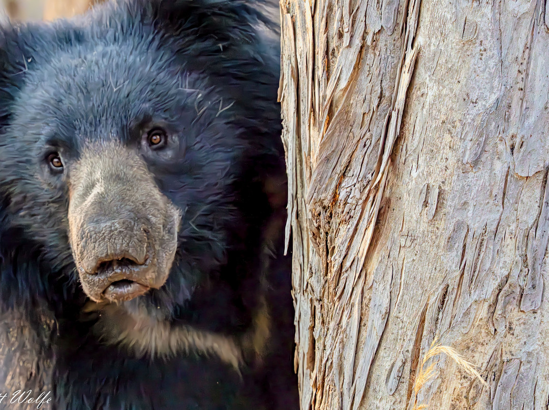 Indian Maharaja Tour-阿格拉必去景点