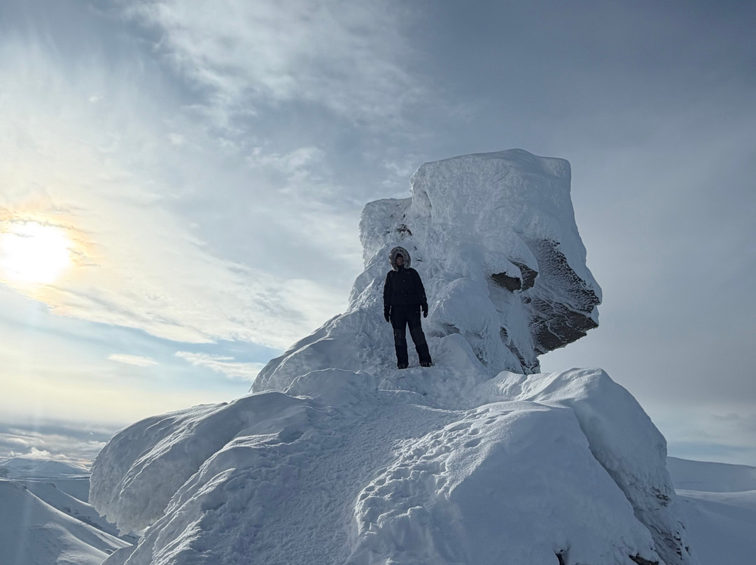 Svalbard Wildlife Expeditions-朗伊尔城必去景点