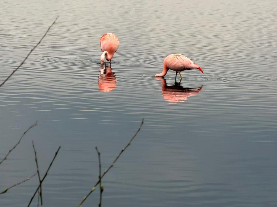 Unieke Uitjes-Laren必去景点