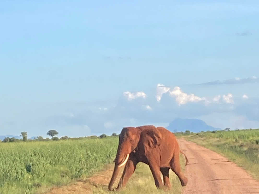 Chacal Expeditions - Day Tours-蒙巴萨必去景点