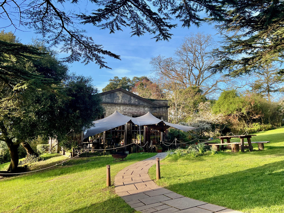 THE PIG at Combe - 德文主图