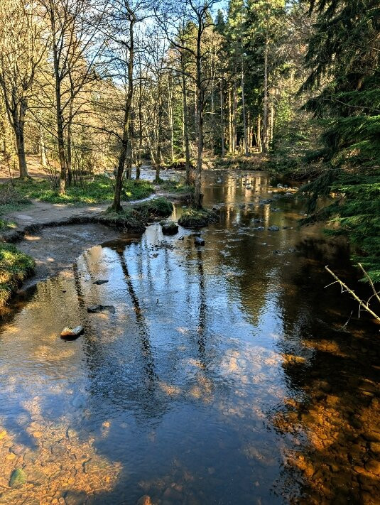 Hamsterley Forest-Hamsterley必去景点