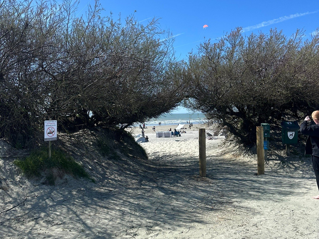 West Wittering Beach-West Wittering必去景点