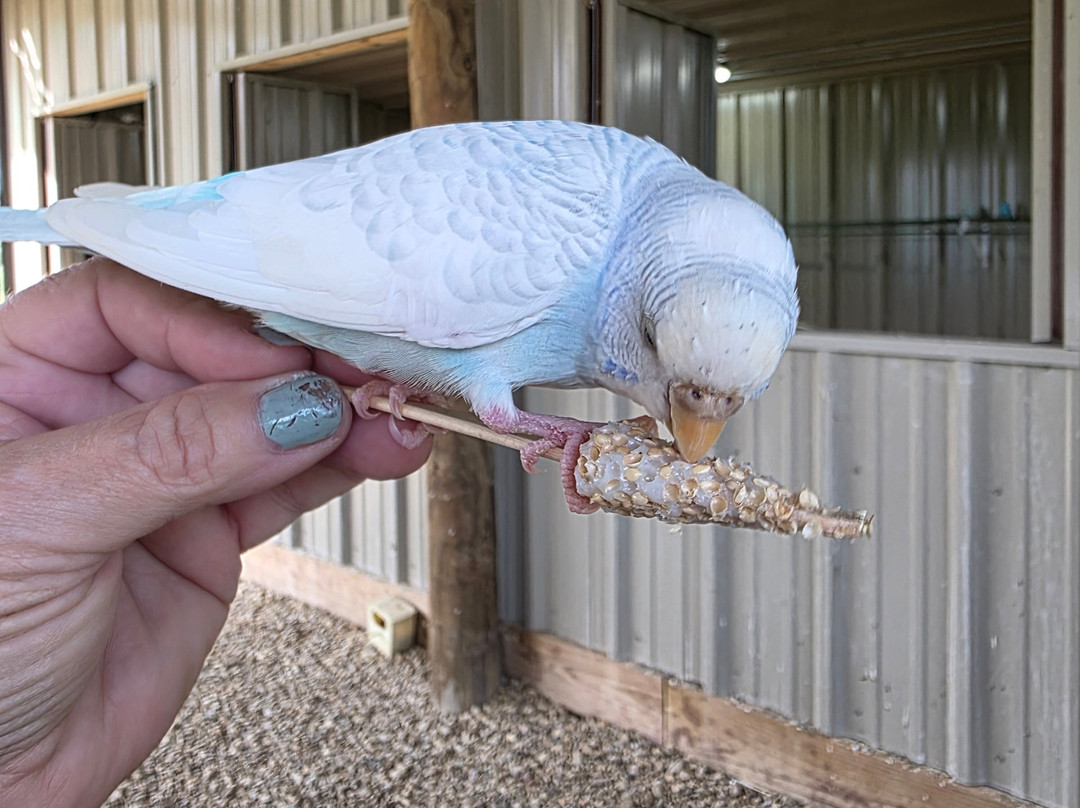 Texas Zoofari Park-Kaufman必去景点