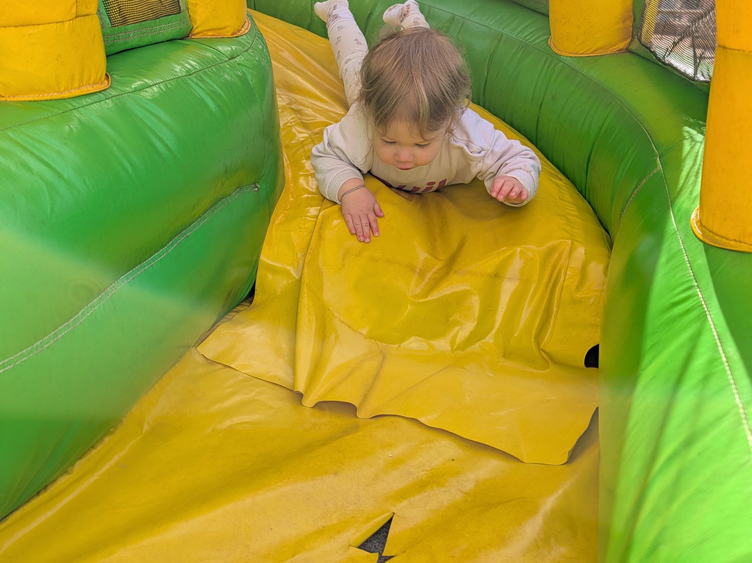 Jungle City-图尔奈必去景点