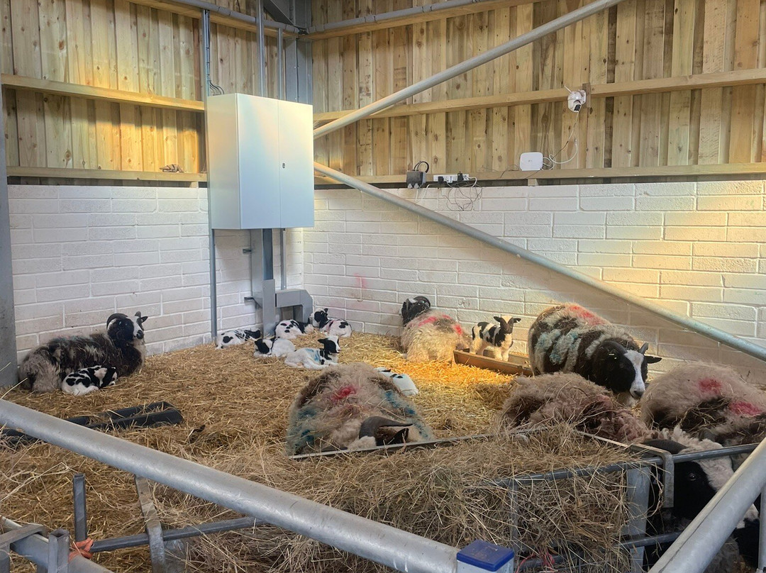 Greenmeadow Community Farm-Cwmbran必去景点