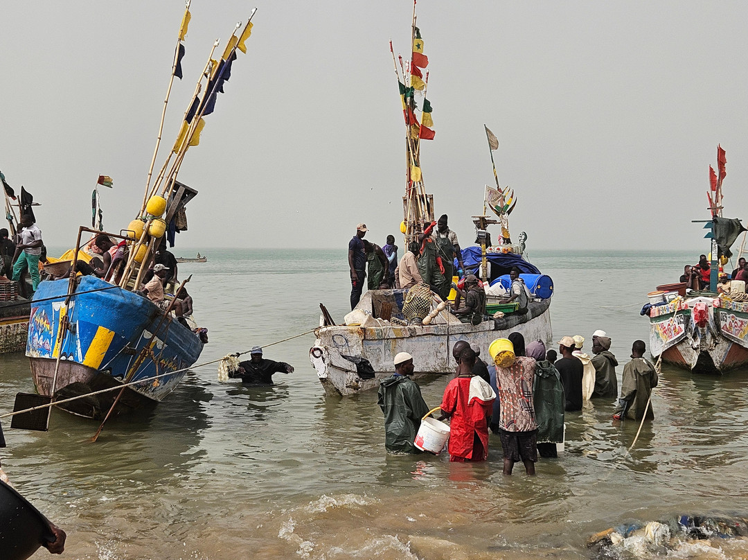 Dakar/Mbour/Sine Saloum, Senegal-莫布瓦必去景点