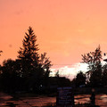 dawng713