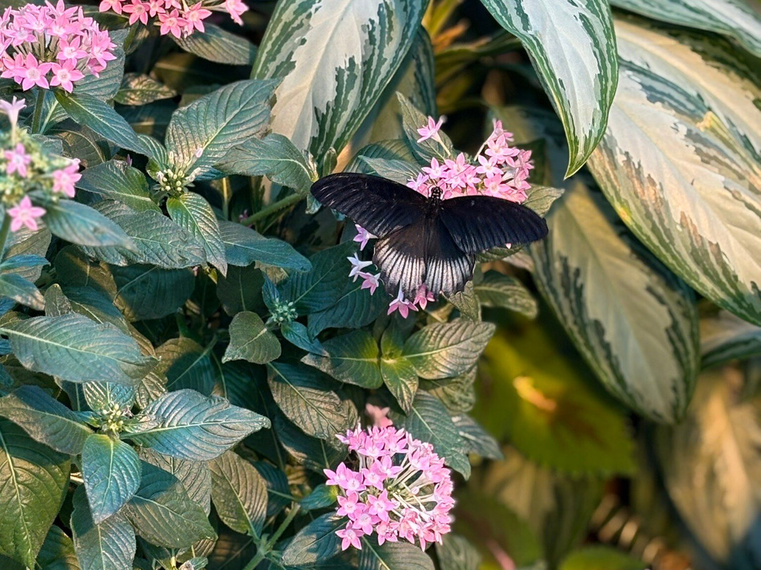 Milwaukee Public Museum-密尔沃基必去景点