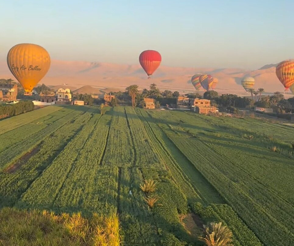 Marsa Alam Online-马萨阿拉姆必去景点