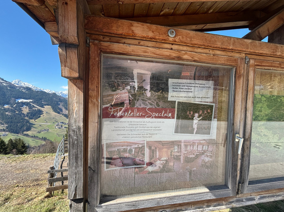 Rohrberg酒店住宿-Alpengasthof Enzianhof