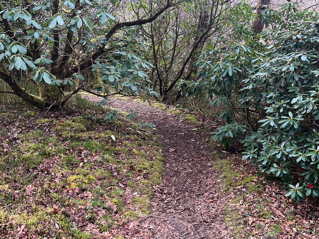 Angus's Garden, Barguillean-Taynuilt必去景点