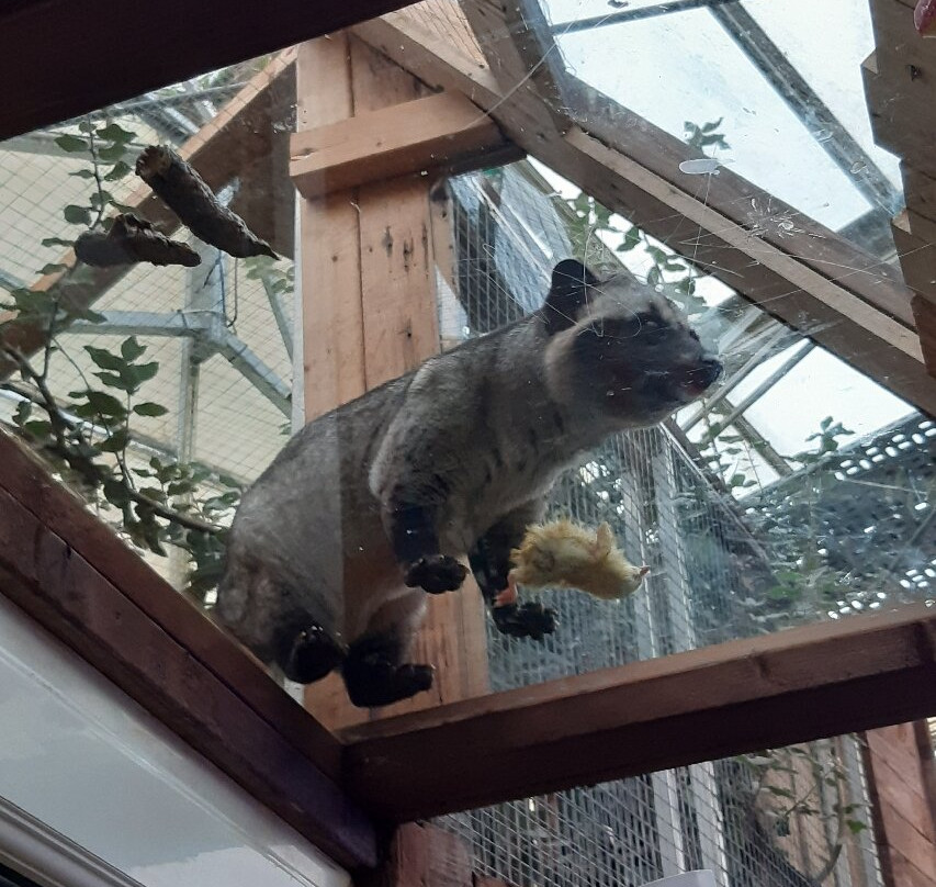 Bugtopia Hornsea Zoo-Hornsea必去景点