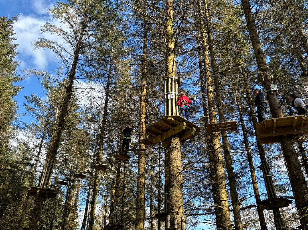 Go Ape Whinlatter-Braithwaite必去景点